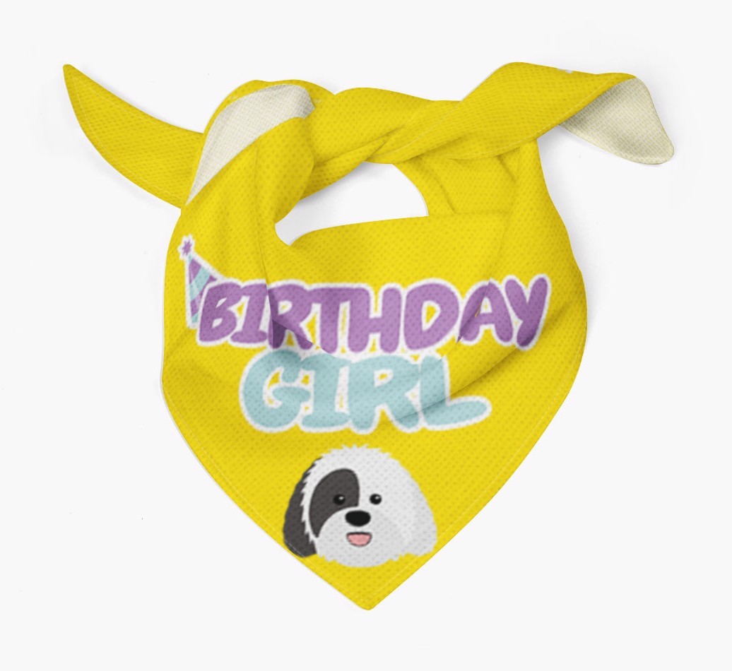 Birthday Girl : Personalised {breedFullName} Bandana 