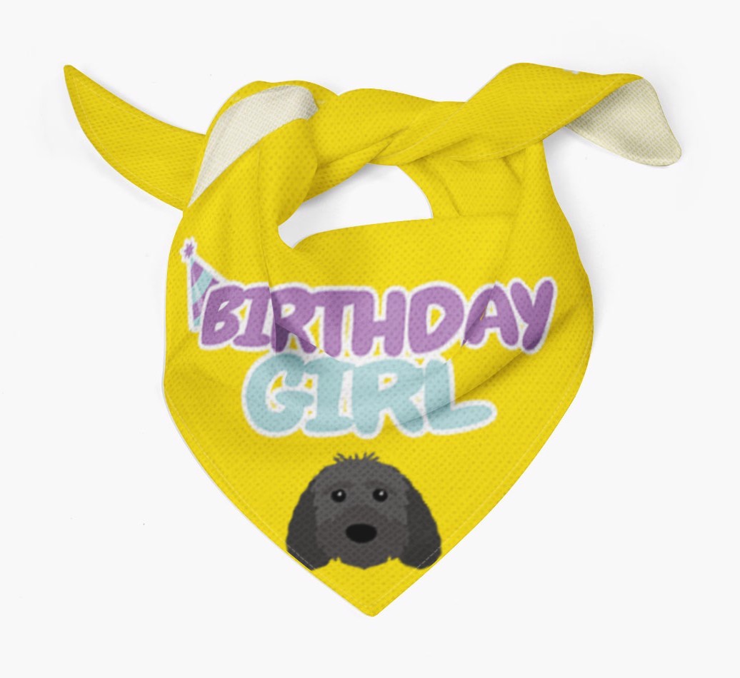 Birthday Girl : Personalised {breedFullName} Bandana 