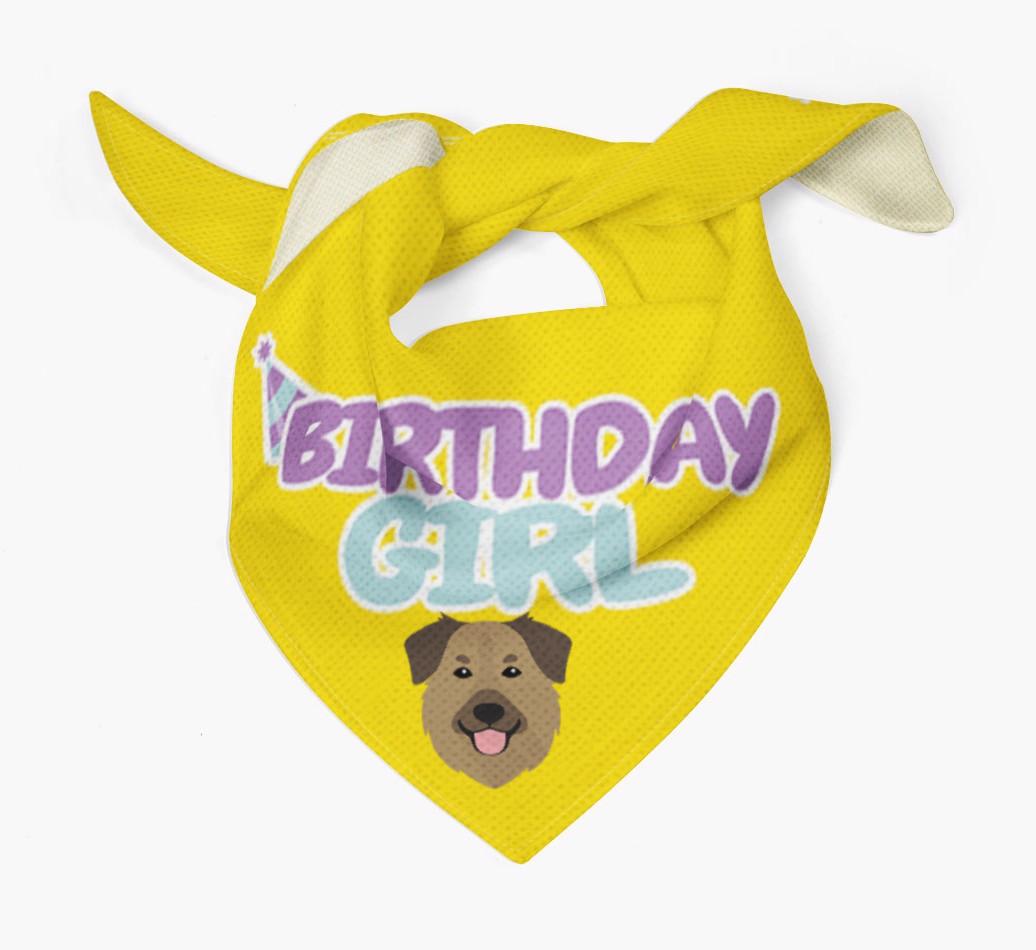 Birthday Girl : Personalized {breedFullName} Bandana 
