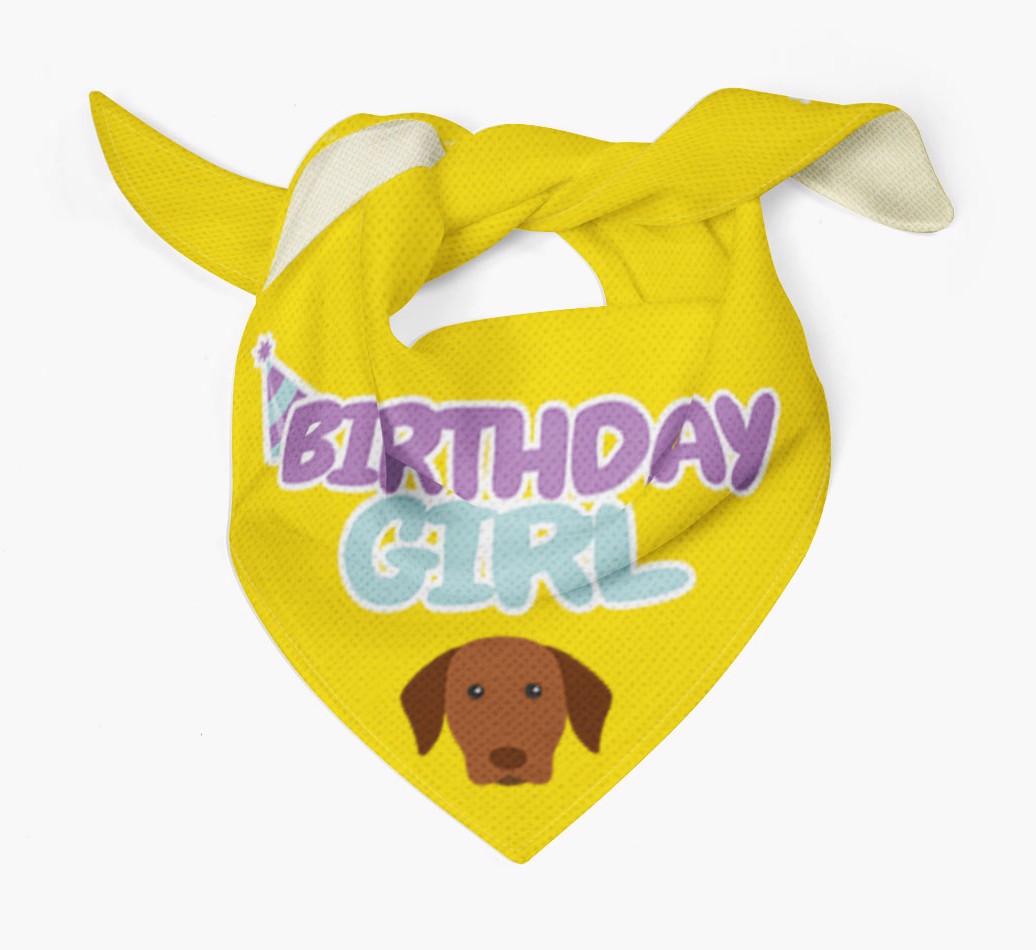 Birthday Girl : Personalised {breedFullName} Bandana 