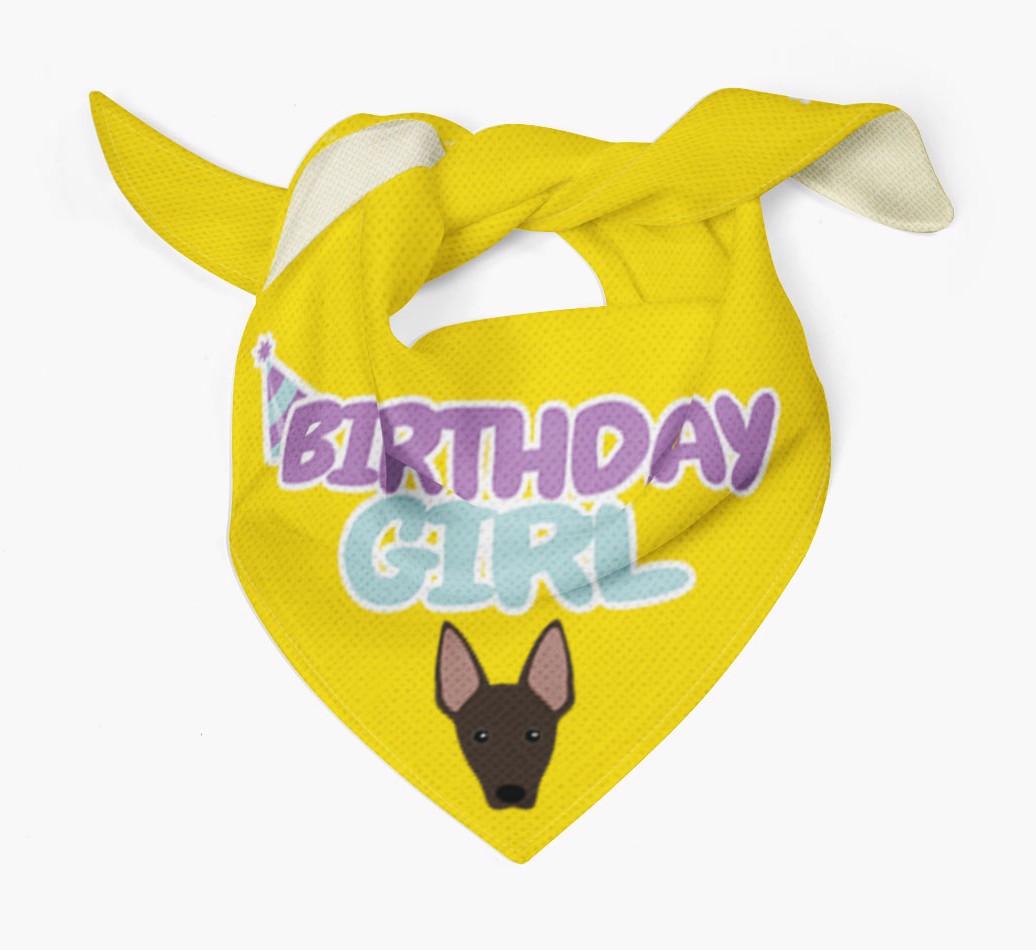 Birthday Girl : Personalized {breedFullName} Bandana 