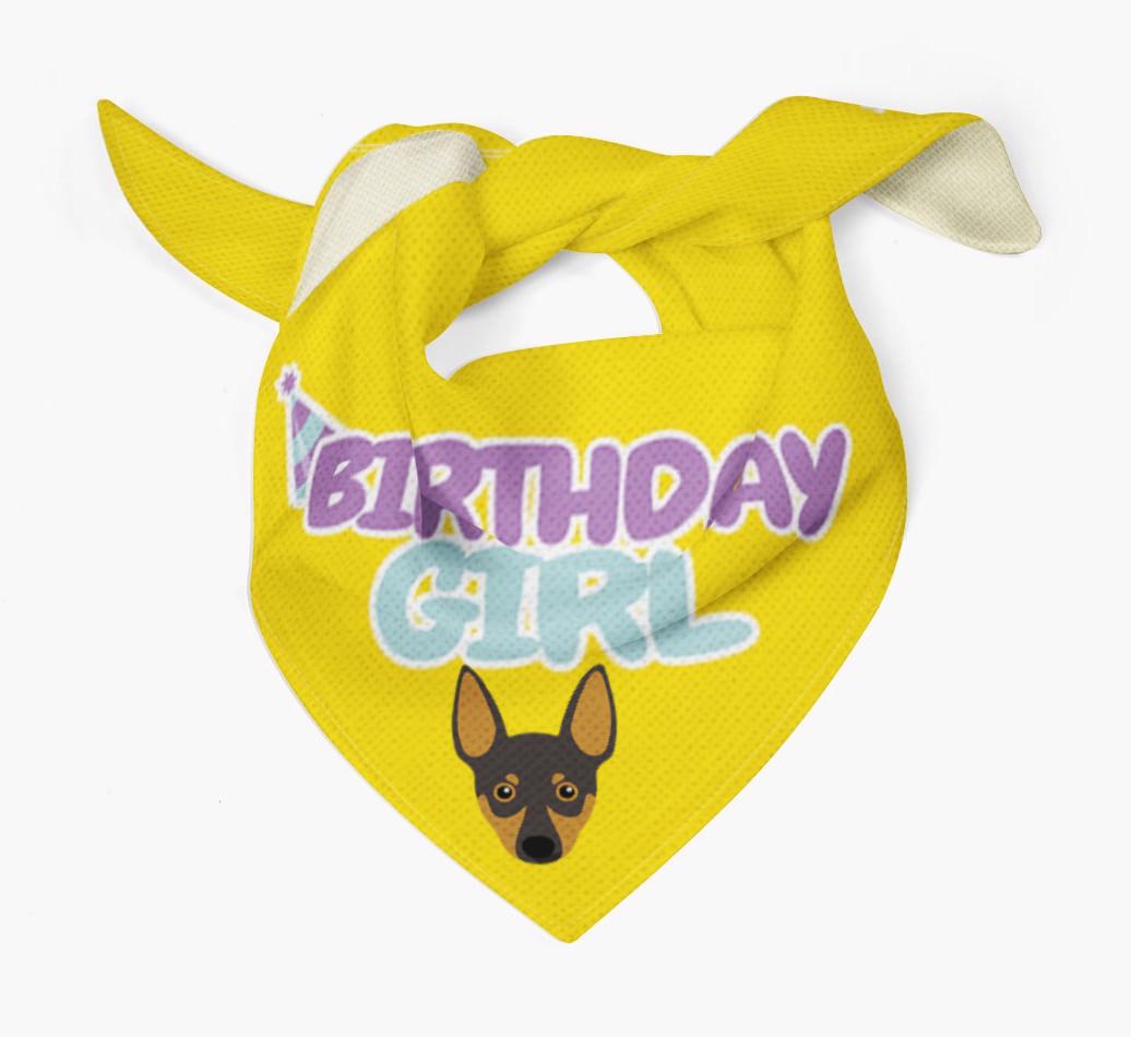 Birthday Girl : Personalized {breedFullName} Bandana 