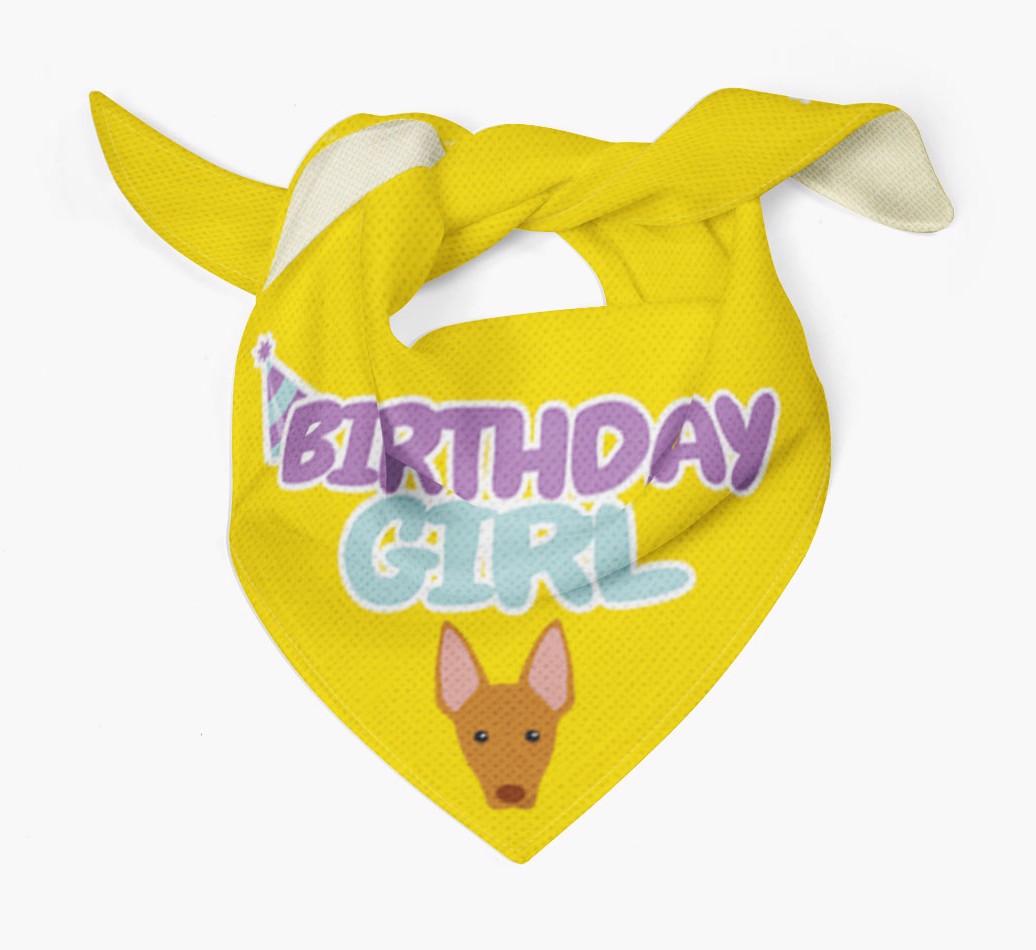 Birthday Girl : Personalised {breedFullName} Bandana 