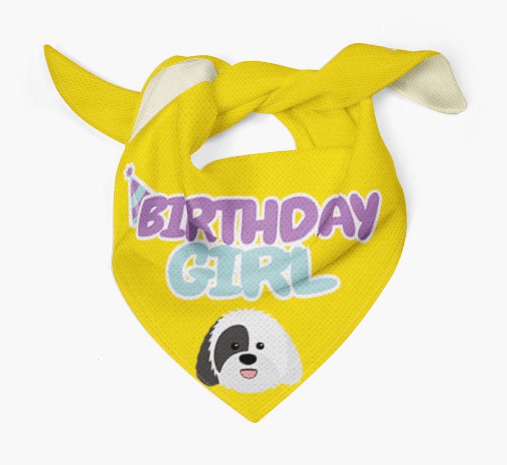 Birthday Girl : Personalized {breedFullName} Bandana 
