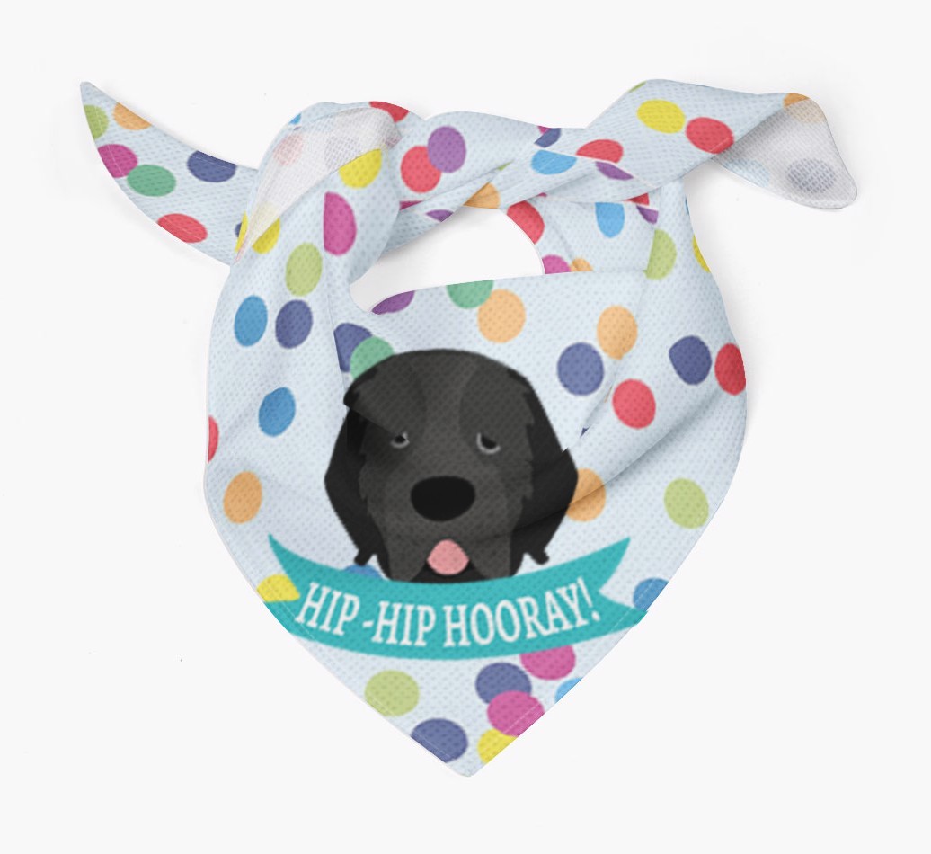 Hip-Hip Hooray! : Personalised {breedFullName} Bandana