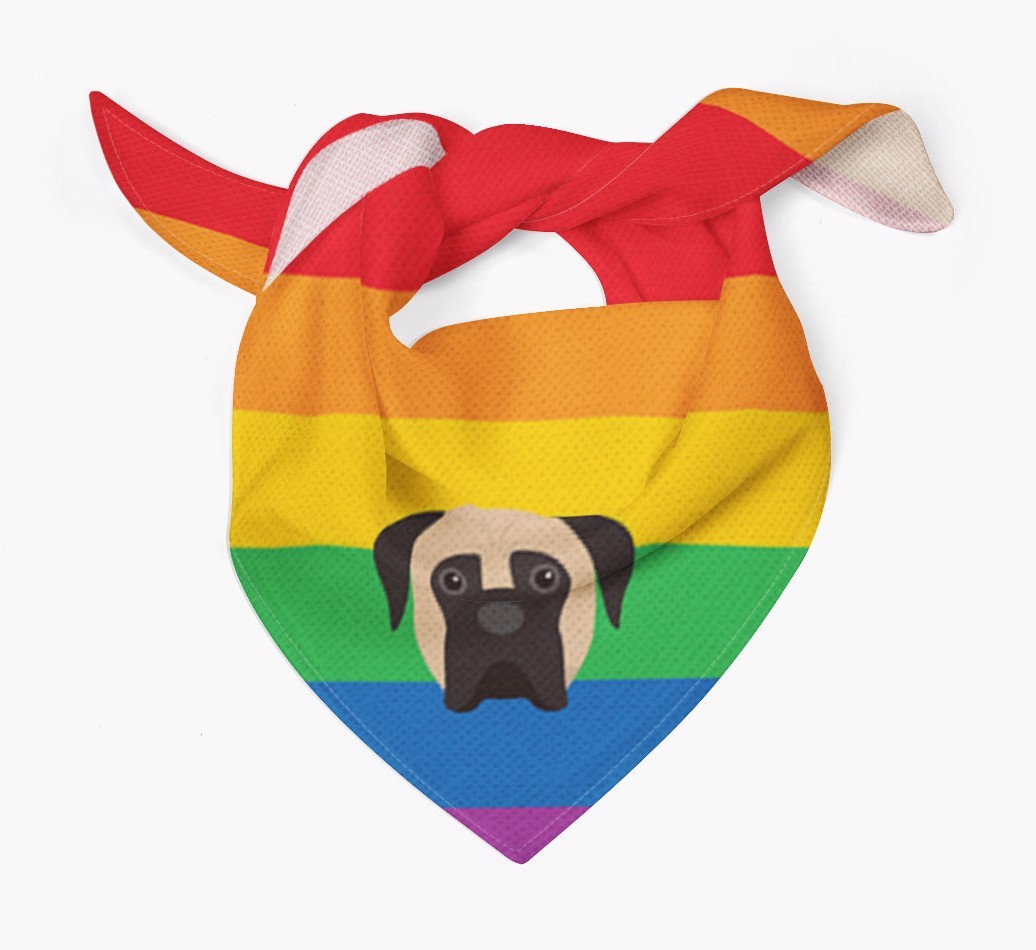 Colourful Rainbow Bandana with {breedFullName} Icon