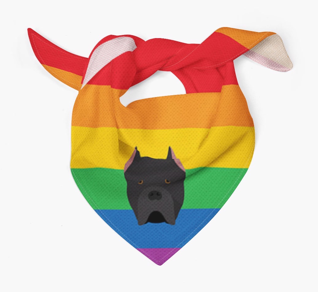 Colourful Rainbow Bandana with {breedFullName} Icon