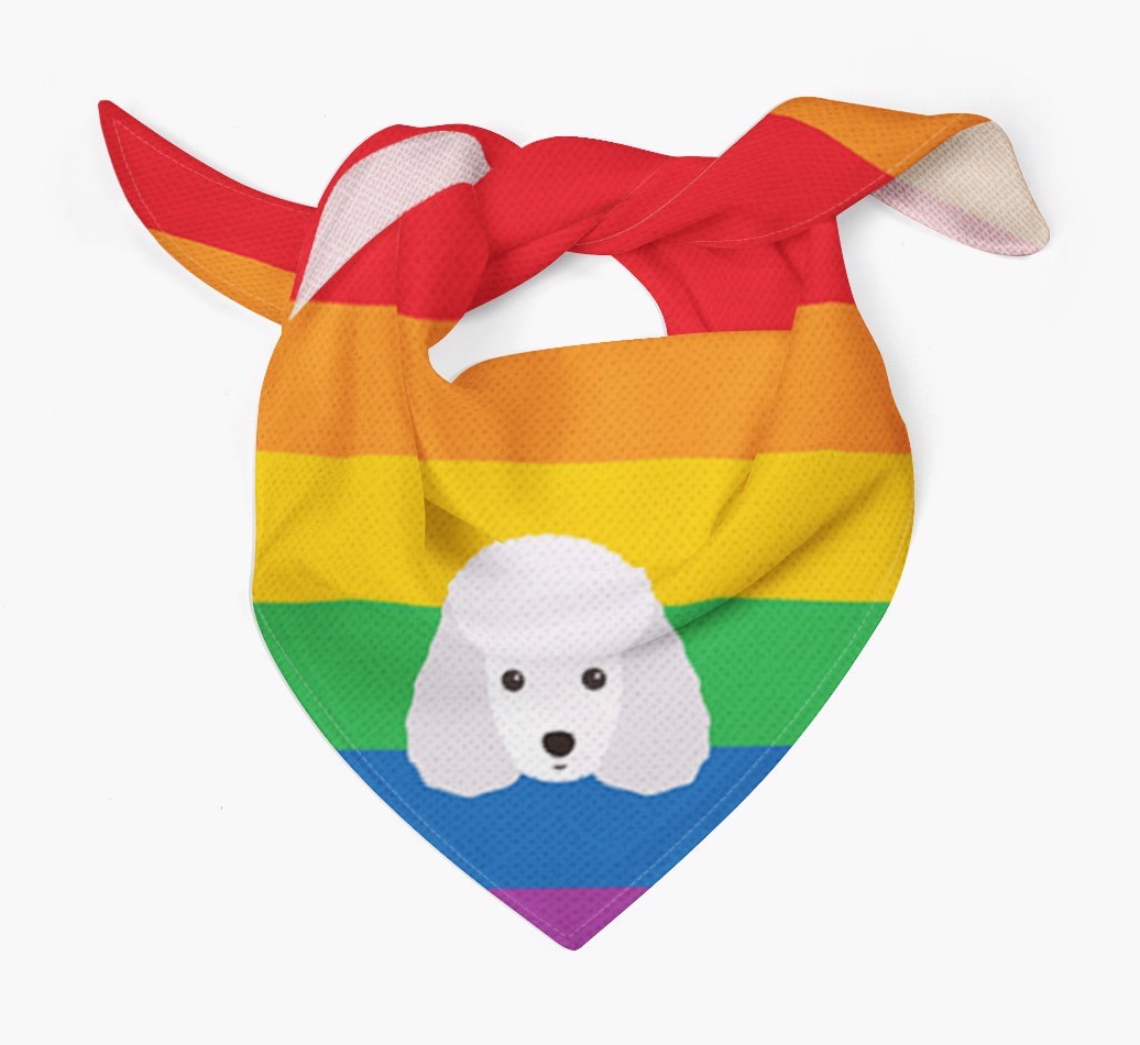 Colourful Rainbow Bandana with {breedFullName} Icon