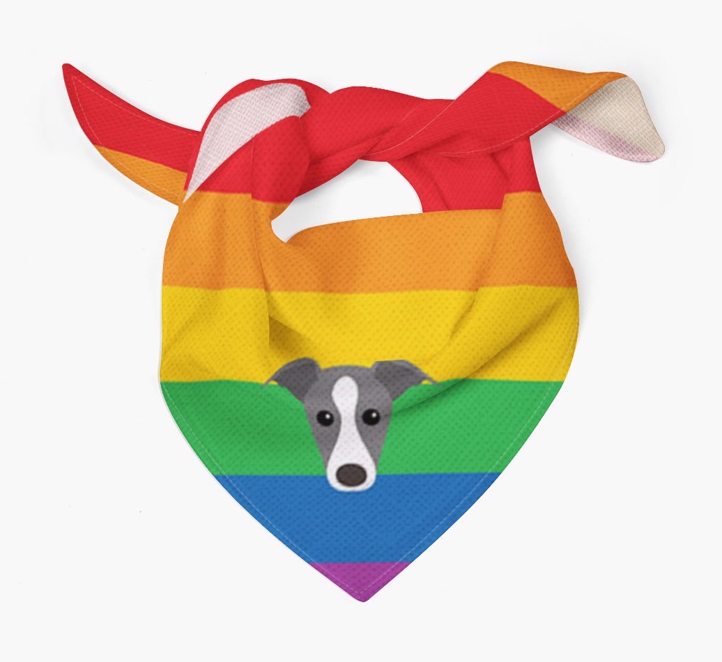 Colourful Rainbow Bandana with {breedFullName} Icon