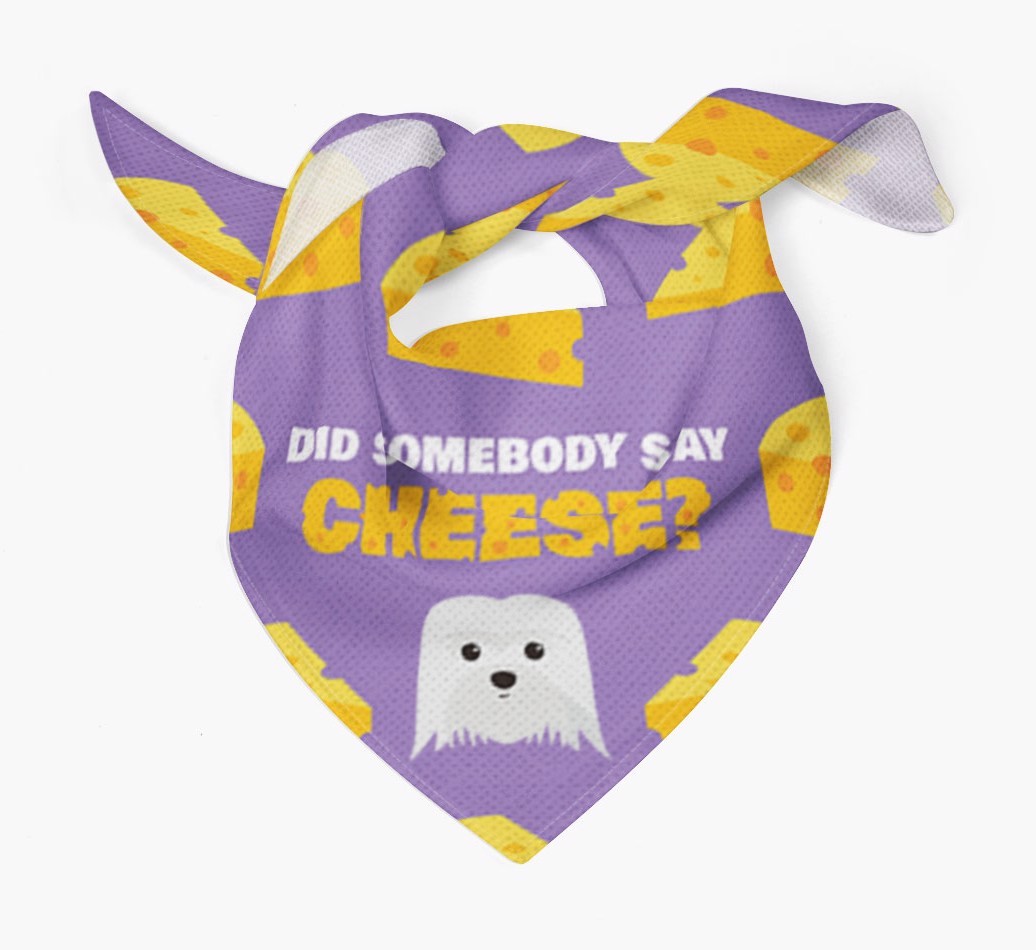 Did Somebody Say Cheese? : Personalised {breedFullName} Bandana