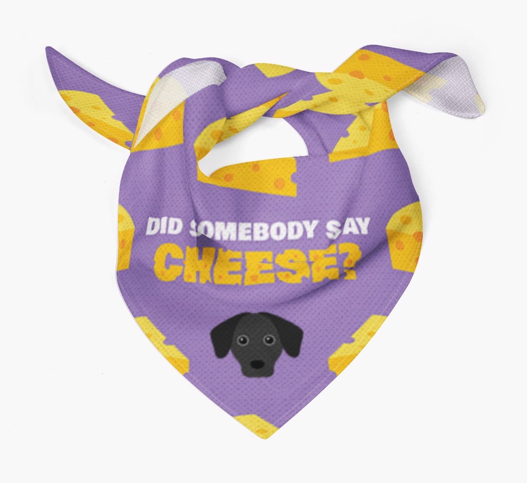 Did Somebody Say Cheese? : Personalised {breedFullName} Bandana