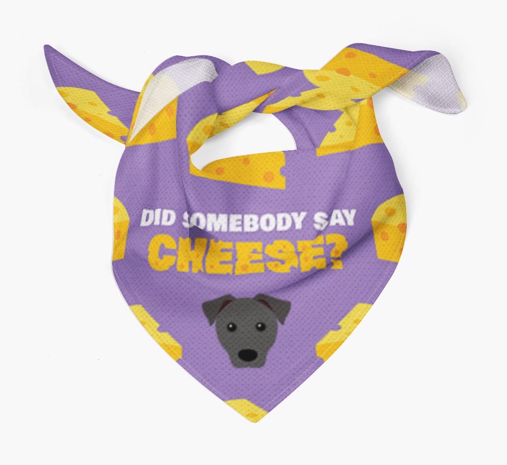 Did Somebody Say Cheese? : Personalised {breedFullName} Bandana