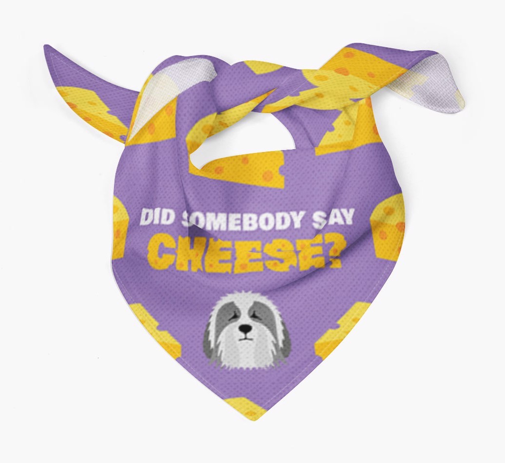 Did Somebody Say Cheese? : Personalised {breedFullName} Bandana