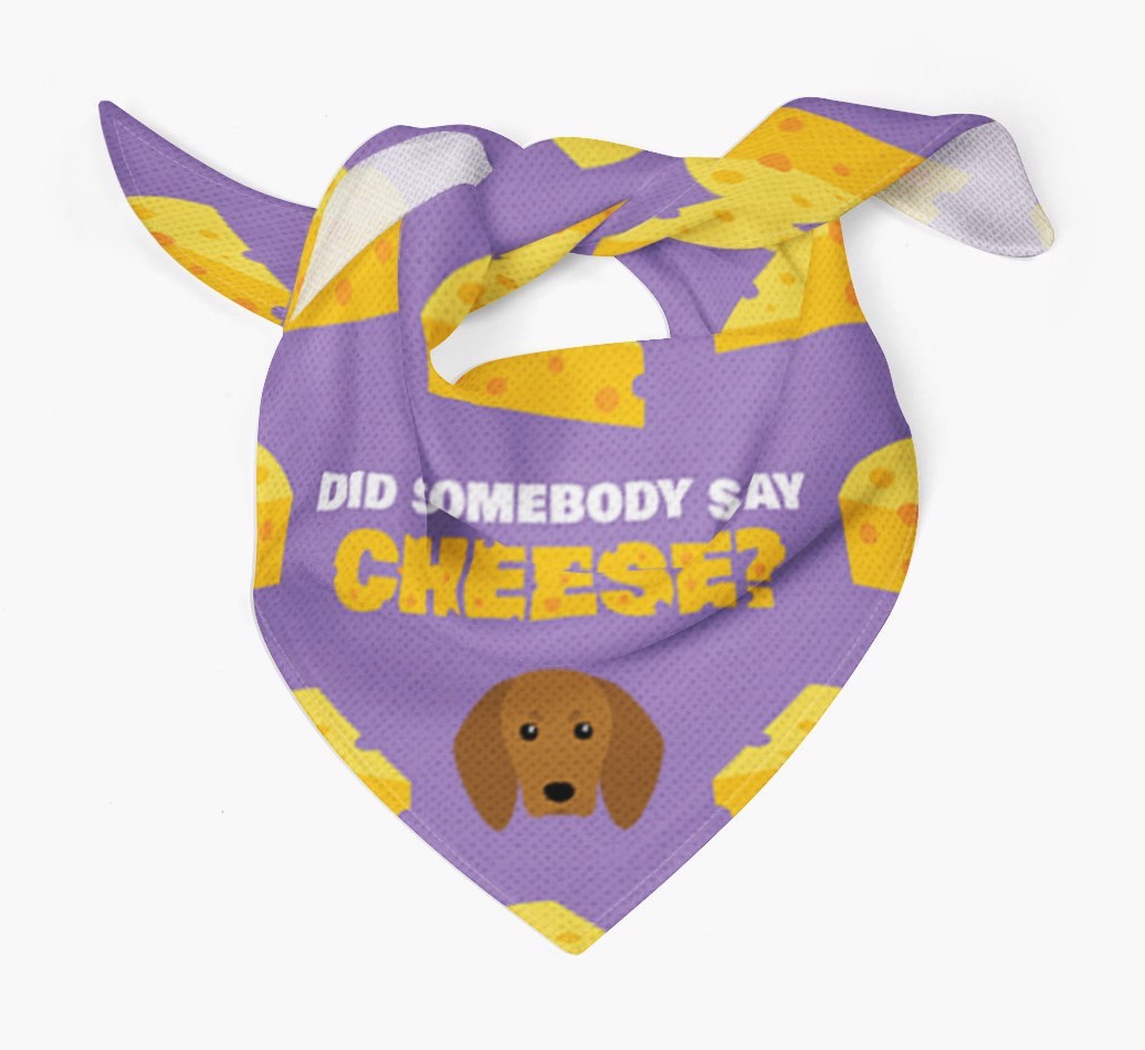 Did Somebody Say Cheese? : Personalised {breedFullName} Bandana