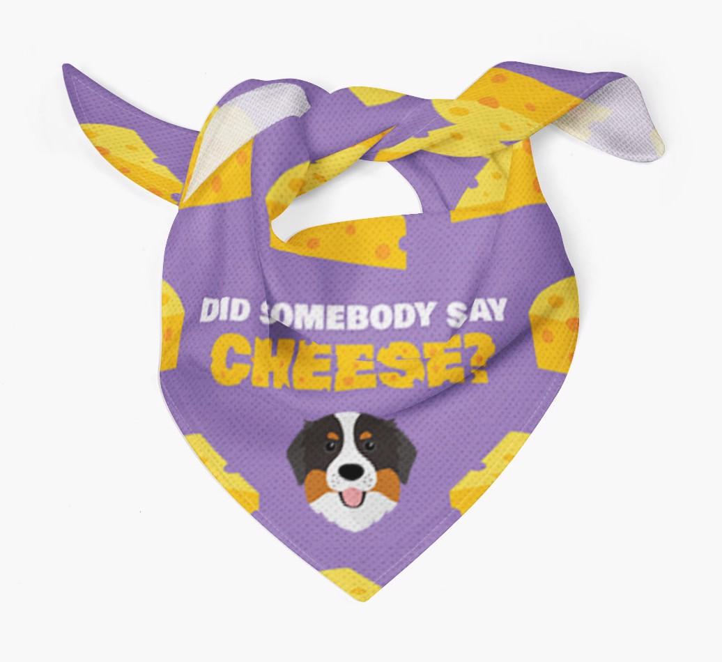 Did Somebody Say Cheese? : Personalized {breedFullName} Bandana
