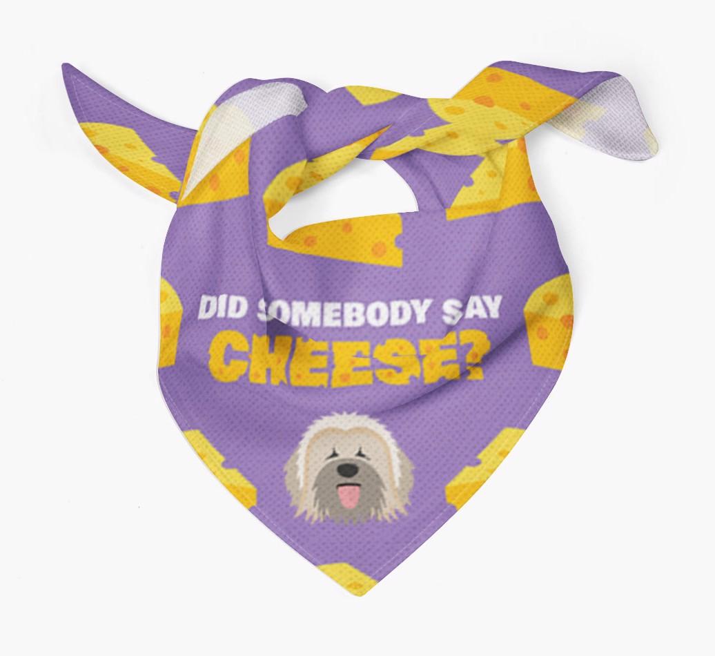 Did Somebody Say Cheese? : Personalized {breedFullName} Bandana