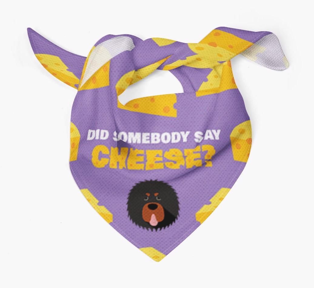 Did Somebody Say Cheese? : Personalized {breedFullName} Bandana