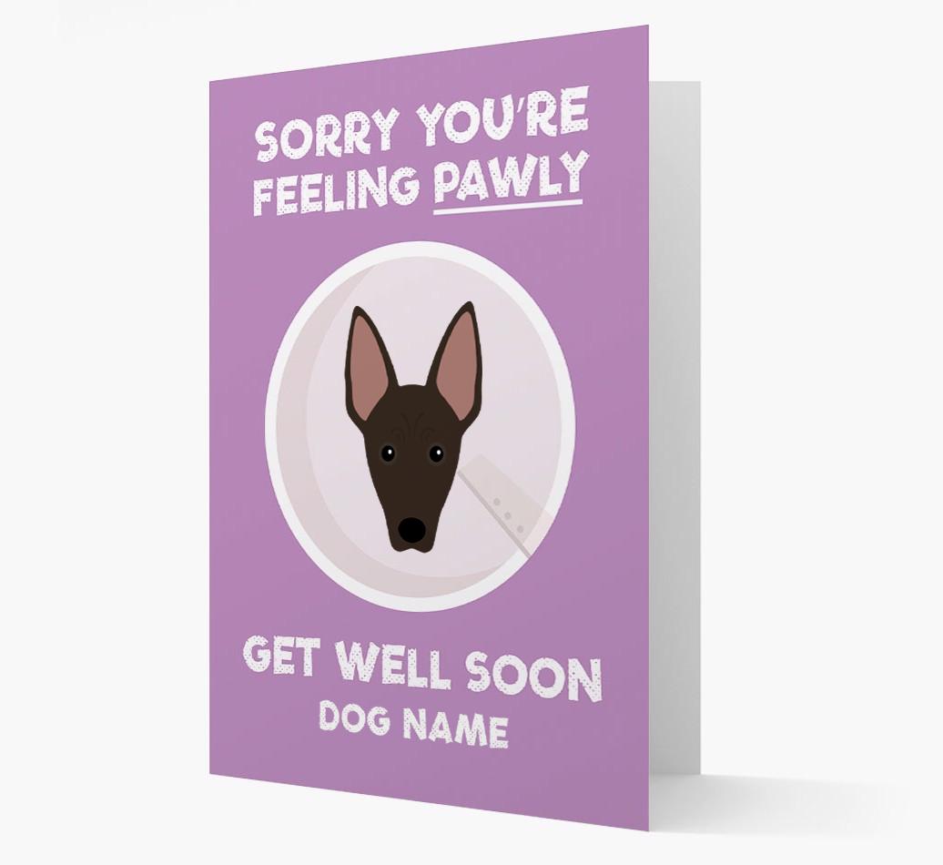 Personalized 'Sorry you're feeling pawly, get well soon {dogsName}' Card
