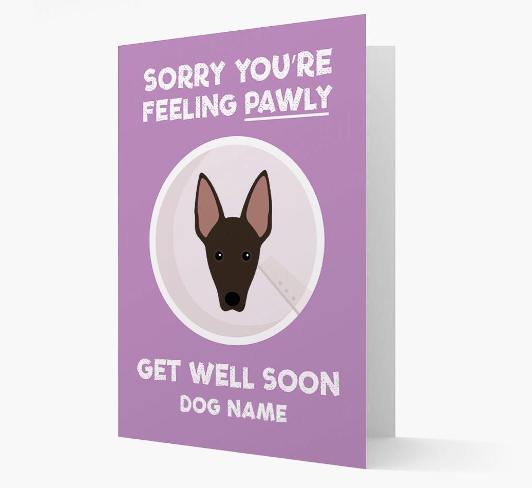 Personalized 'Sorry you're feeling pawly, get well soon {dogsName}' Card