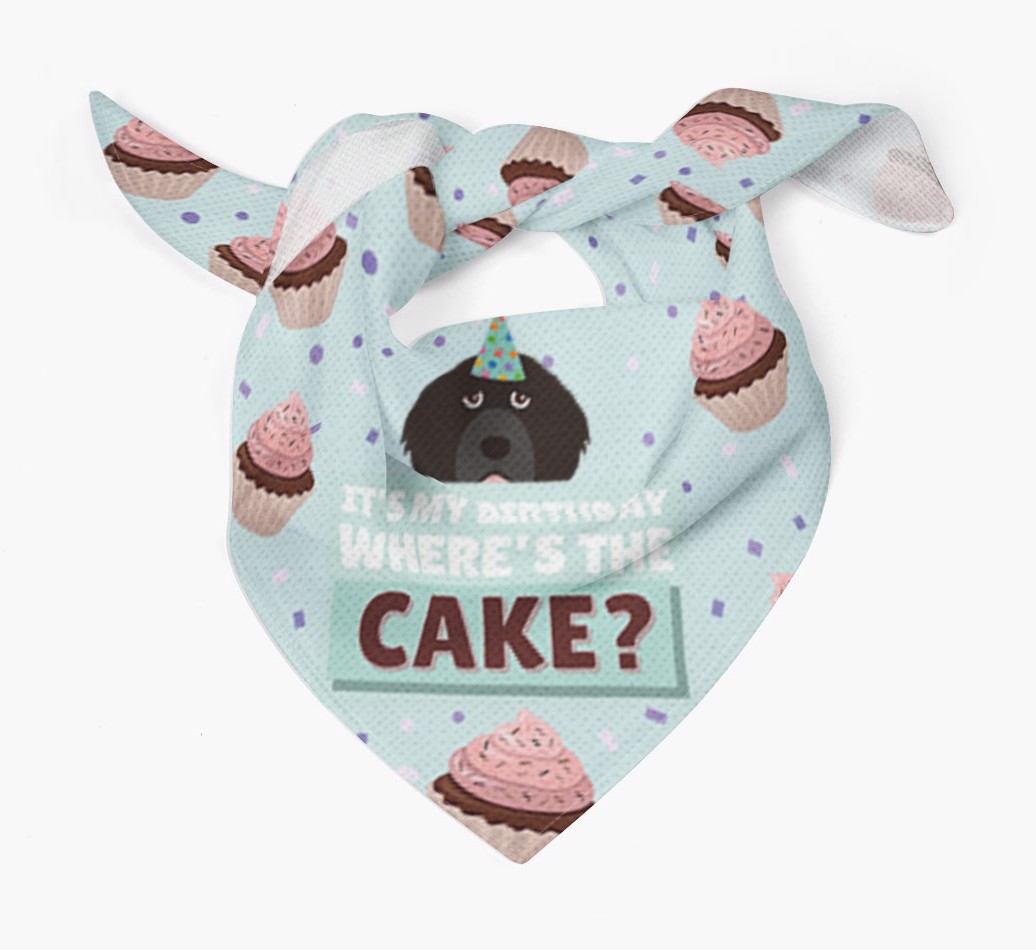 'Where's the Cake?' Birthday Bandana