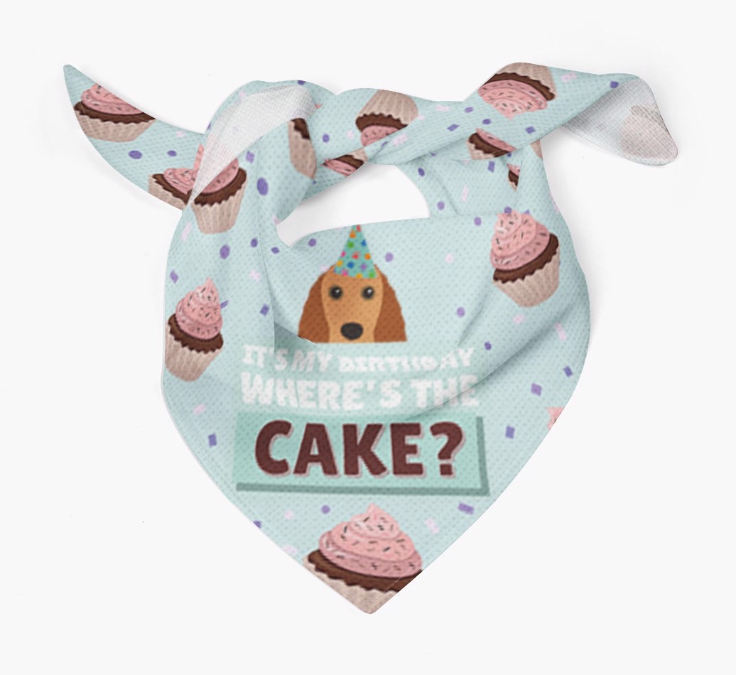 'Where's the Cake?' Birthday Bandana