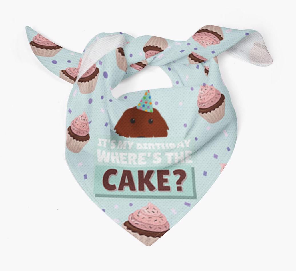 'Where's the Cake?' Birthday Bandana