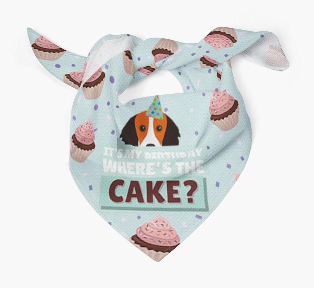'Where's the Cake?' Birthday Bandana