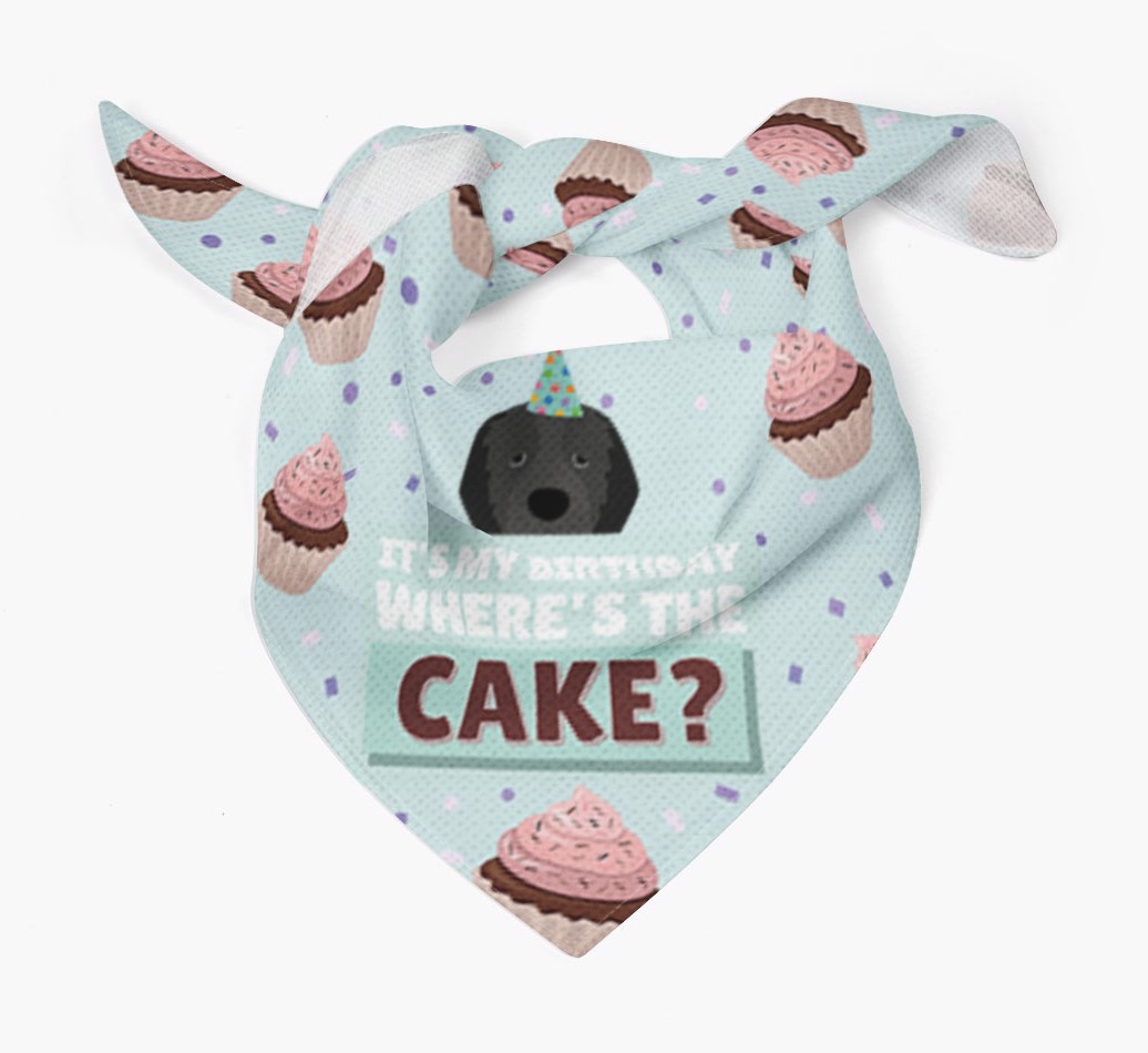 'Where's the Cake?' Birthday Bandana