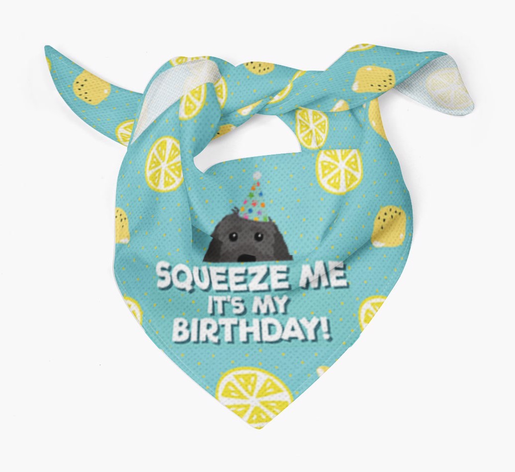 'Squeeze Me, It's My Birthday' Bandana