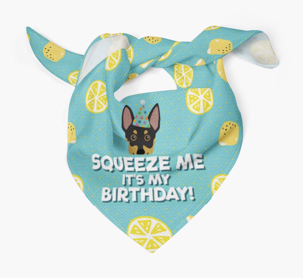 'Squeeze Me, It's My Birthday' Bandana