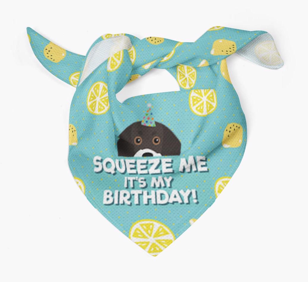 'Squeeze Me, It's My Birthday' Bandana