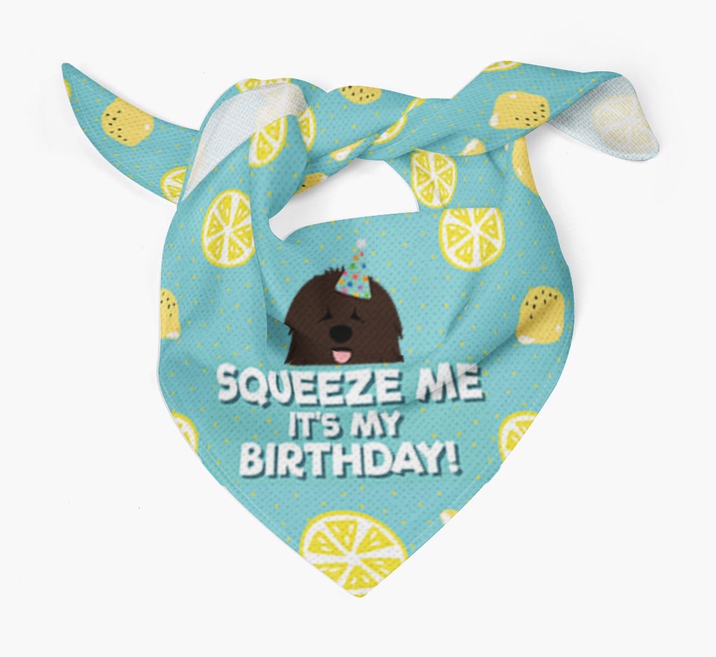 'Squeeze Me, It's My Birthday' Bandana