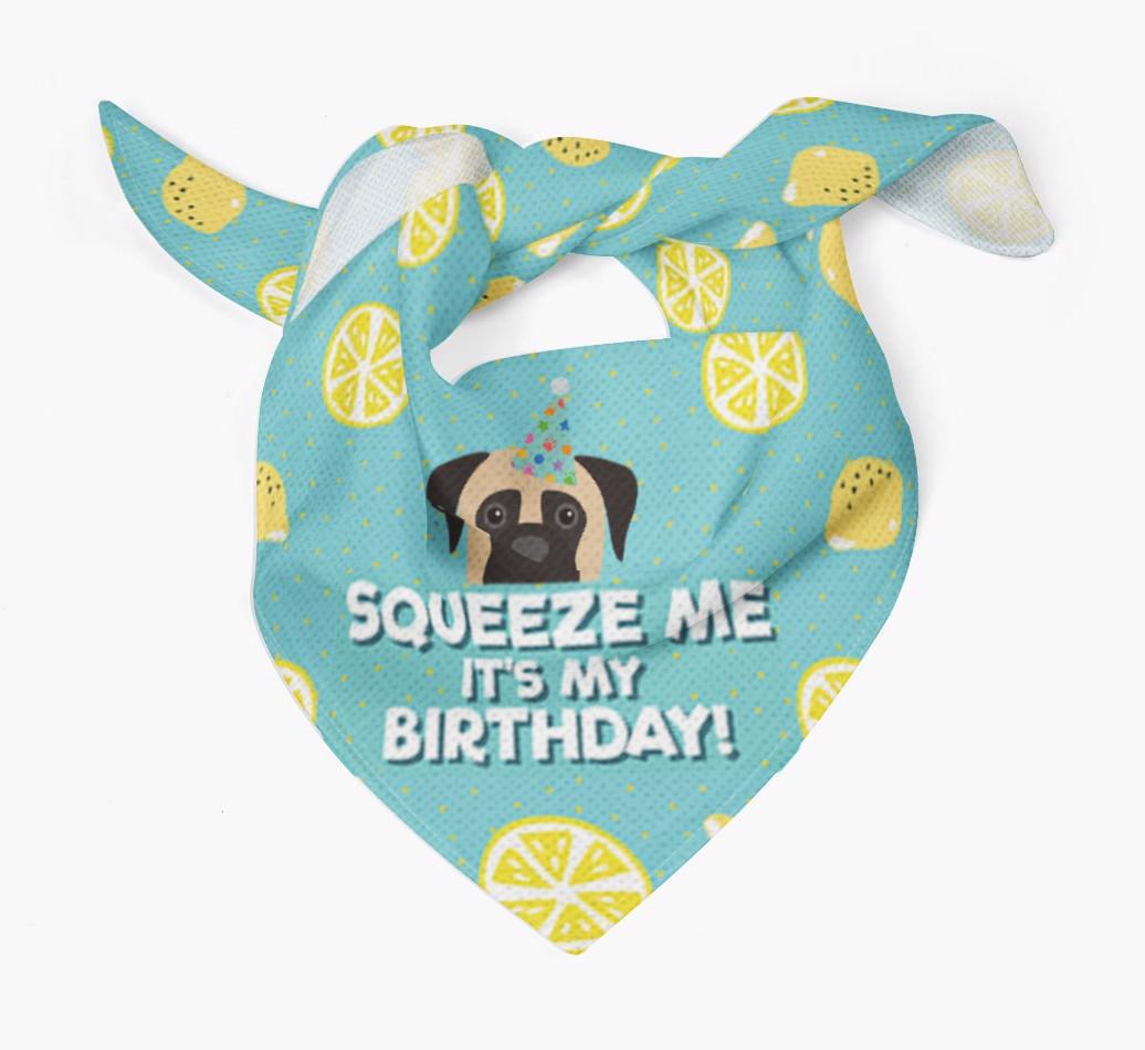 'Squeeze Me, It's My Birthday' Bandana