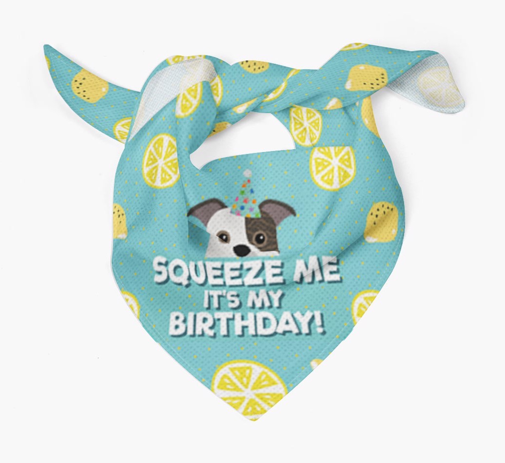 'Squeeze Me, It's My Birthday' Bandana