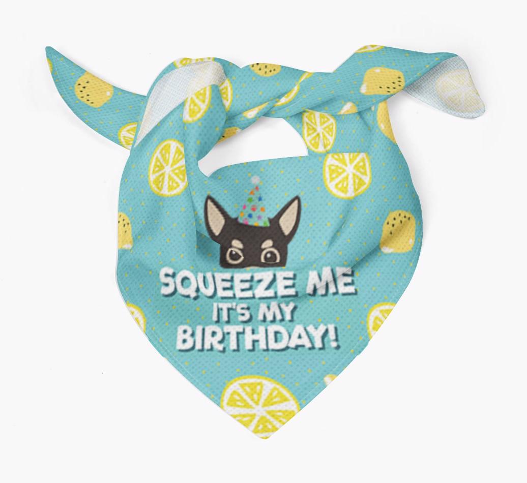 'Squeeze Me, It's My Birthday' Bandana