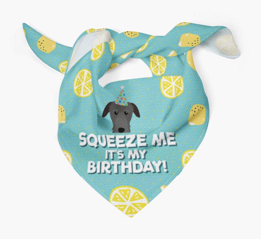 'Squeeze Me, It's My Birthday' Bandana