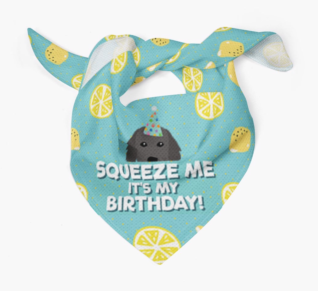 'Squeeze Me, It's My Birthday' Bandana