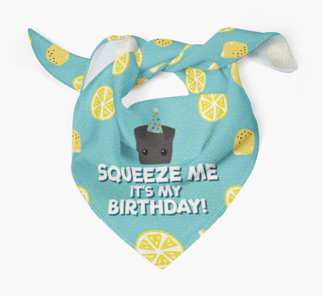 'Squeeze Me, It's My Birthday' Bandana