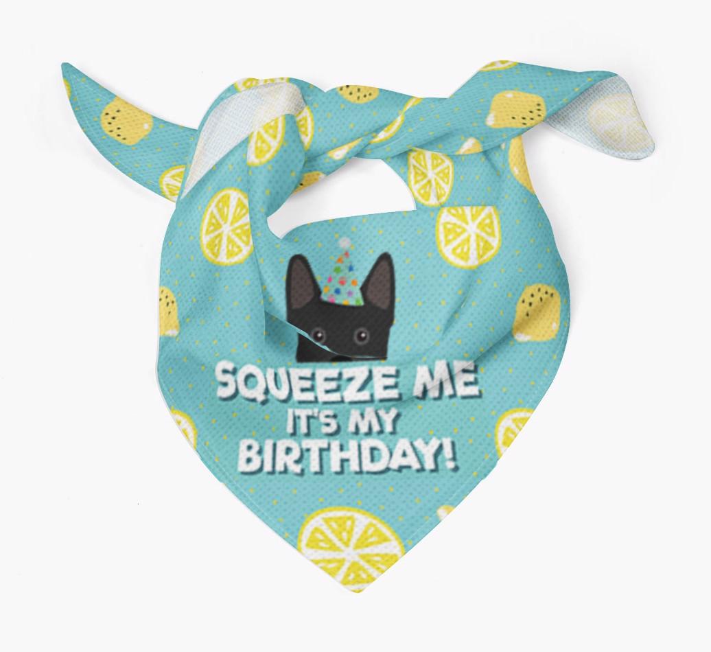 'Squeeze Me, It's My Birthday' Bandana