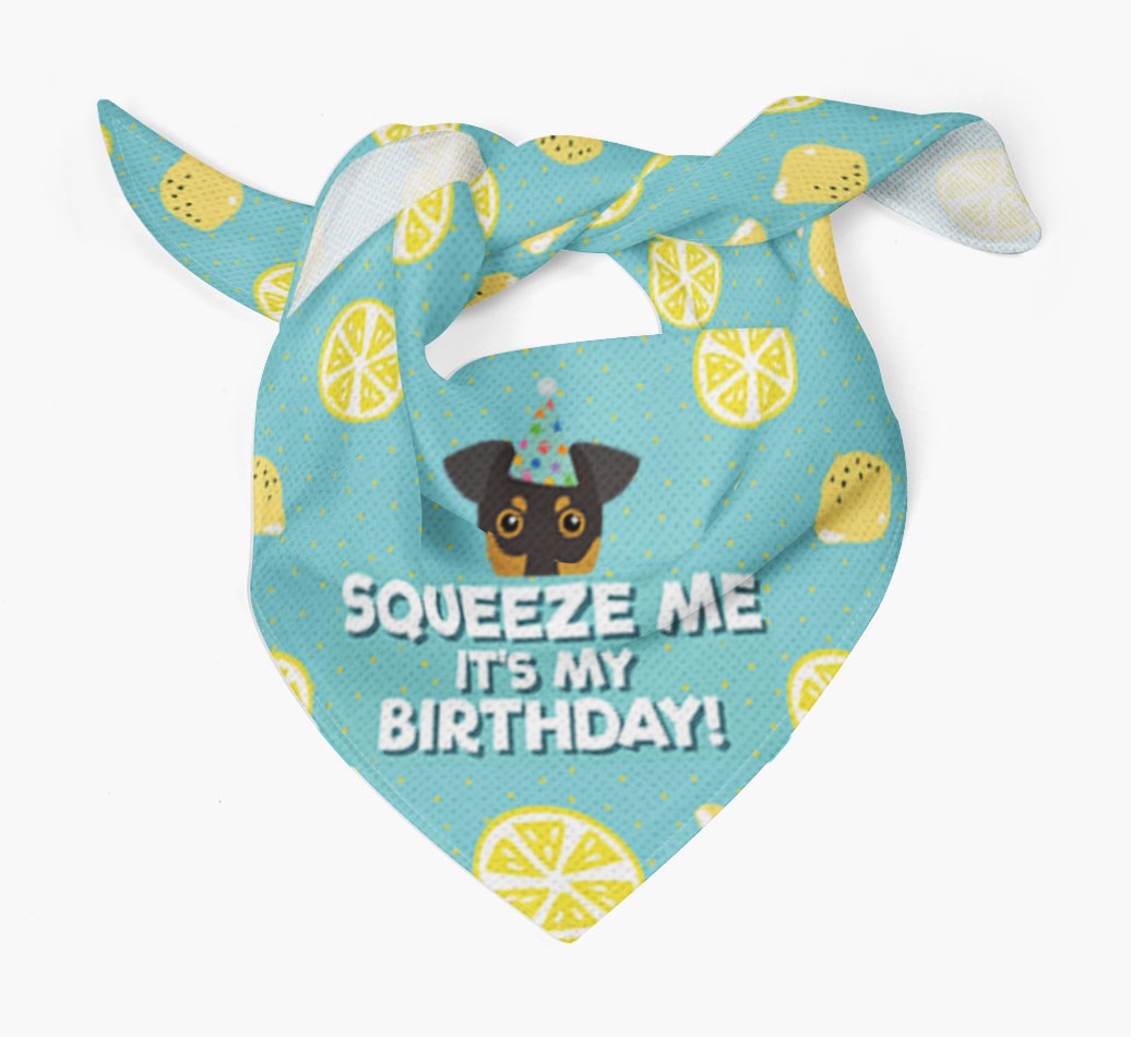 'Squeeze Me, It's My Birthday' Bandana