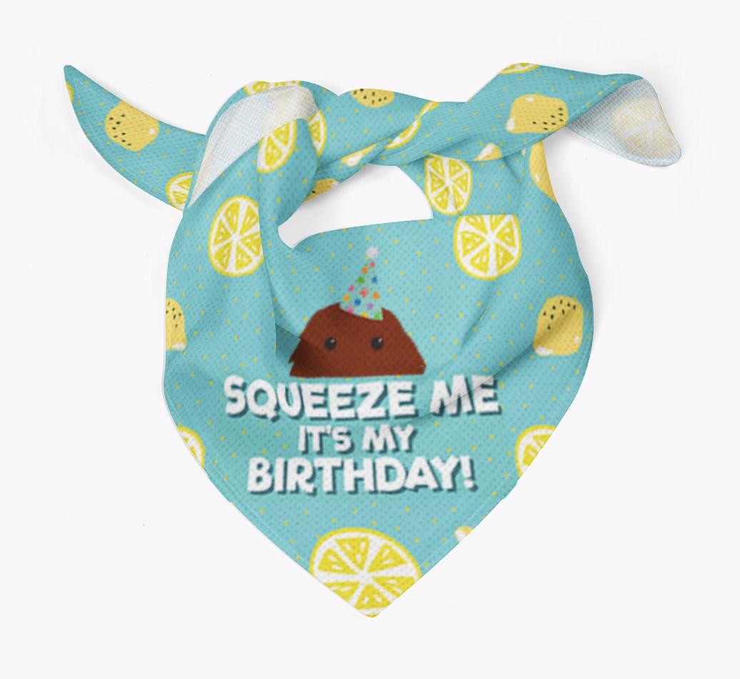 'Squeeze Me, It's My Birthday' Bandana