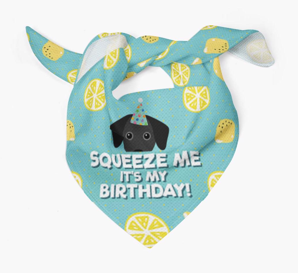'Squeeze Me, It's My Birthday' Bandana