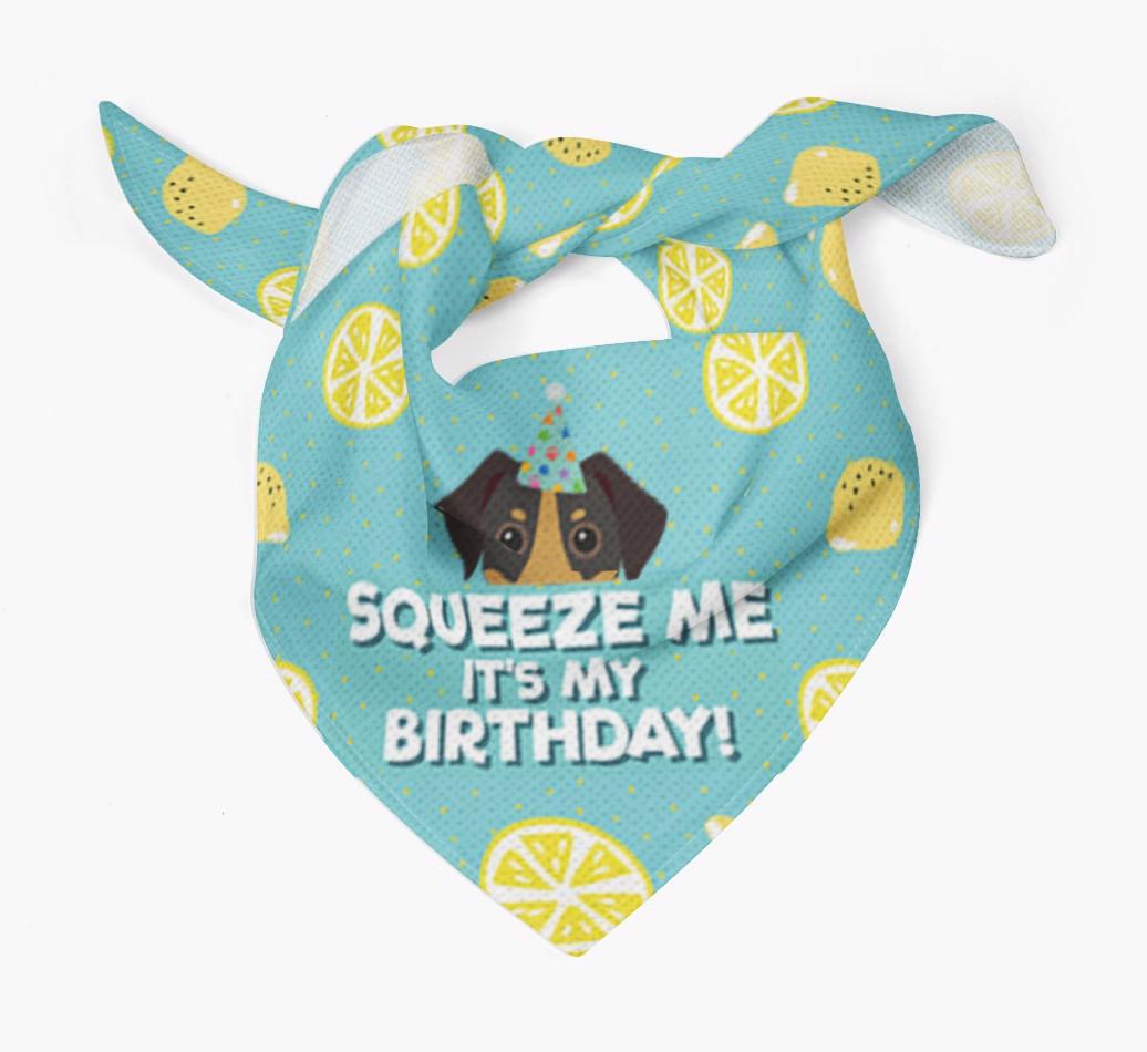 'Squeeze Me, It's My Birthday' Bandana