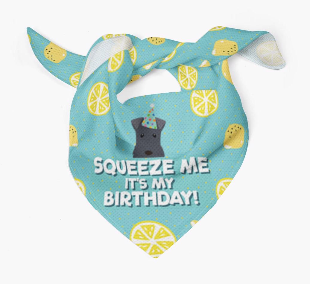 'Squeeze Me, It's My Birthday' Bandana