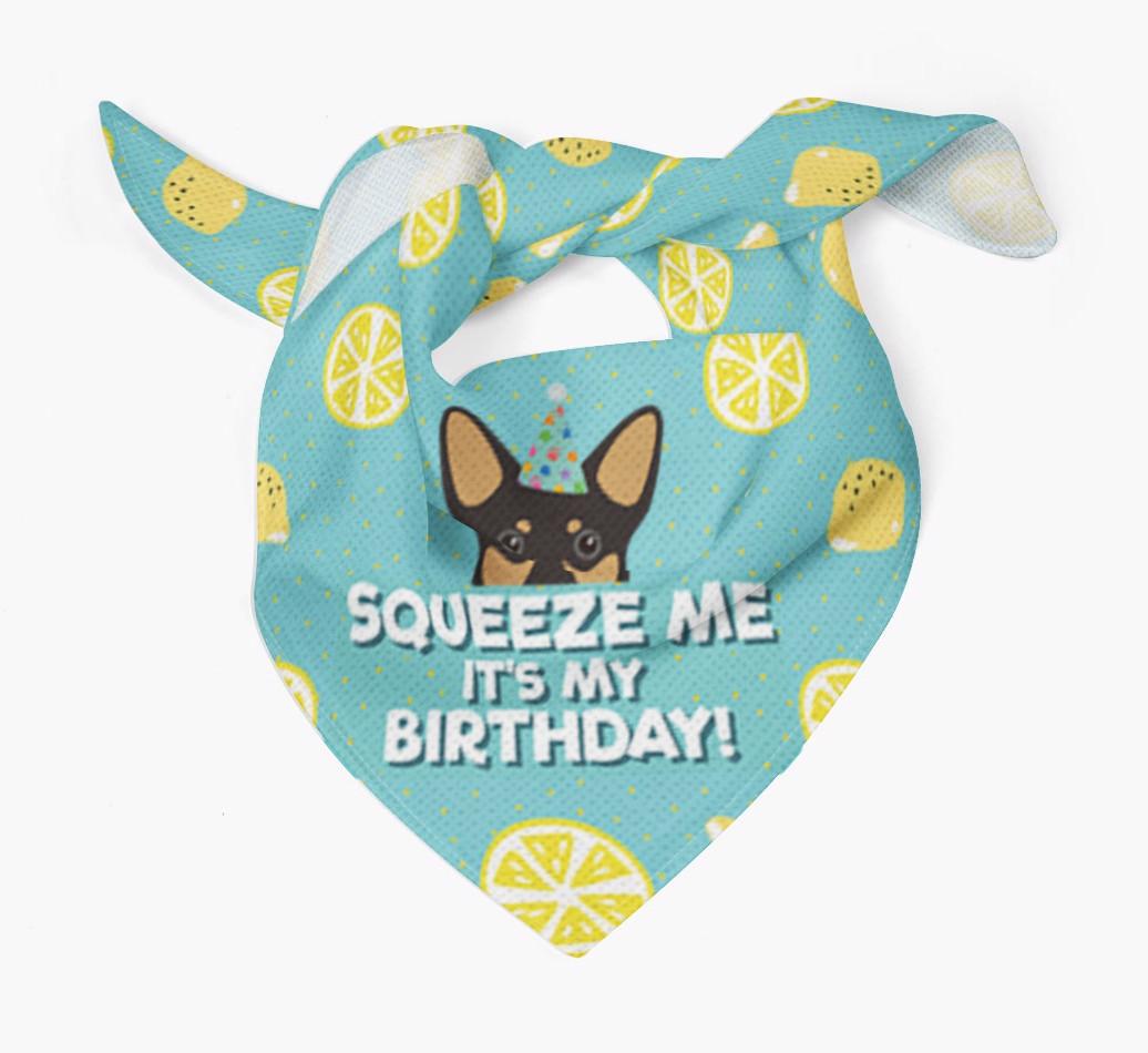 'Squeeze Me, It's My Birthday' Bandana
