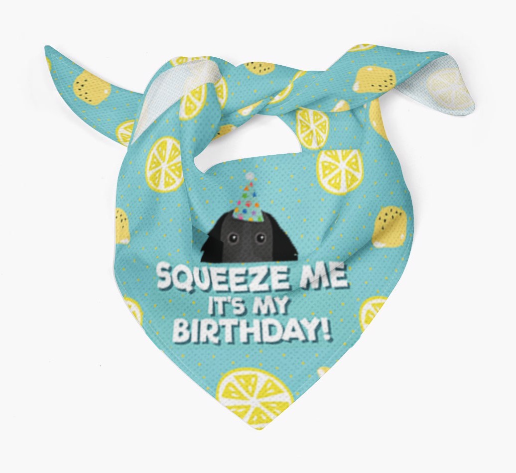 'Squeeze Me, It's My Birthday' Bandana