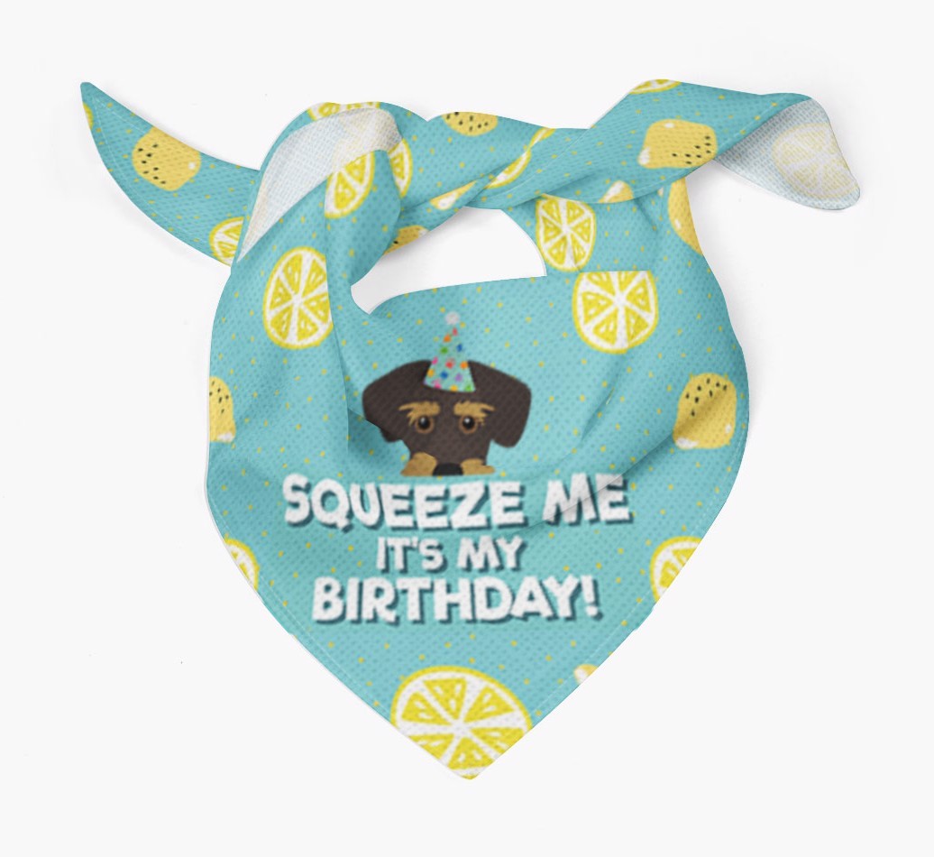 'Squeeze Me, It's My Birthday' Bandana