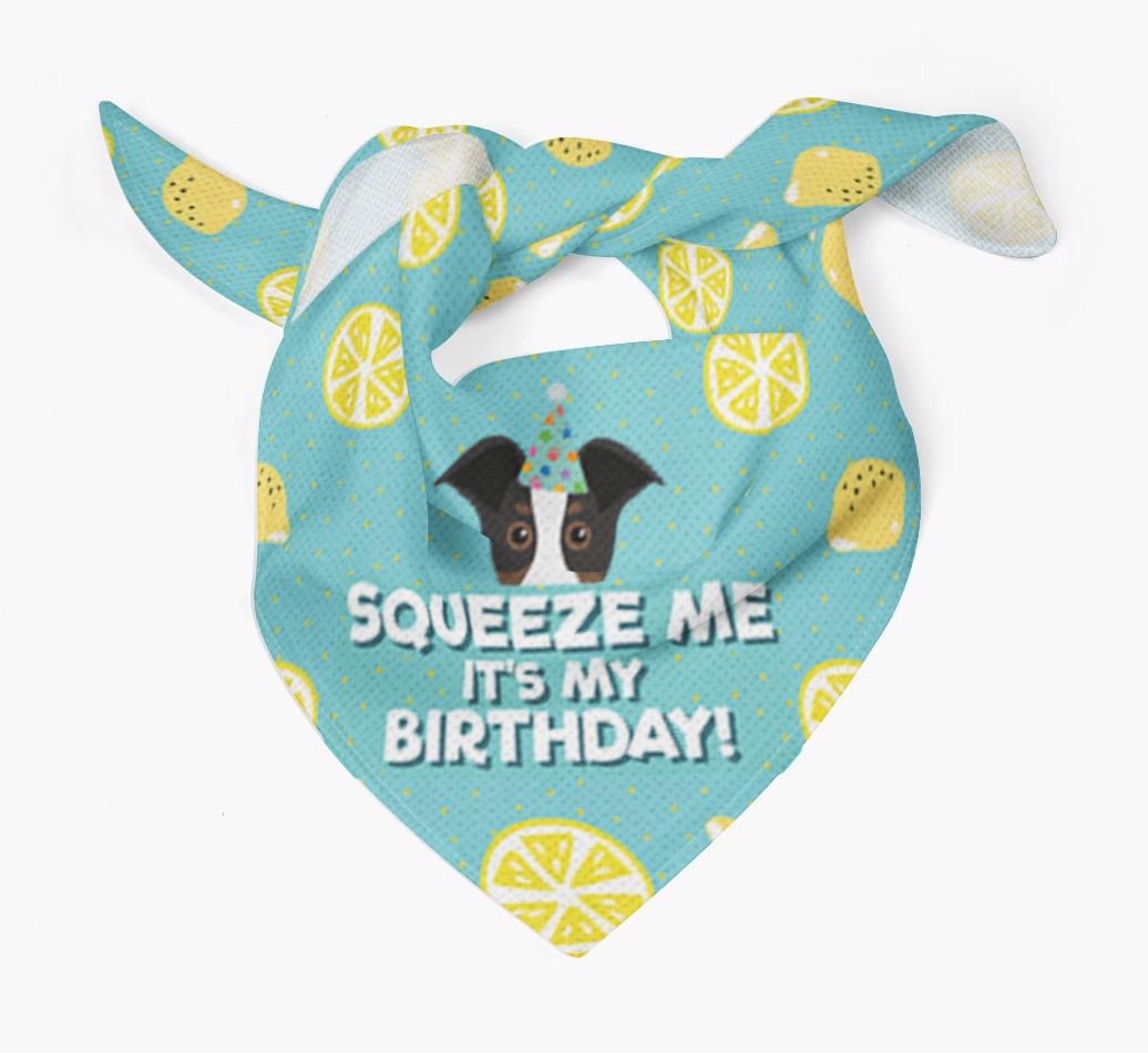 'Squeeze Me, It's My Birthday' Bandana