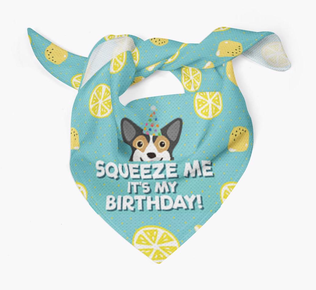 'Squeeze Me, It's My Birthday' Bandana