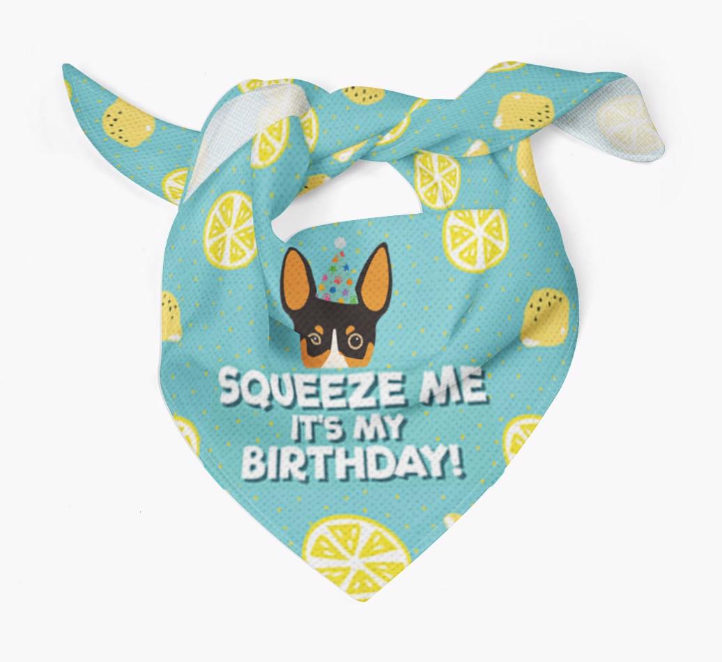 'Squeeze Me, It's My Birthday' Bandana